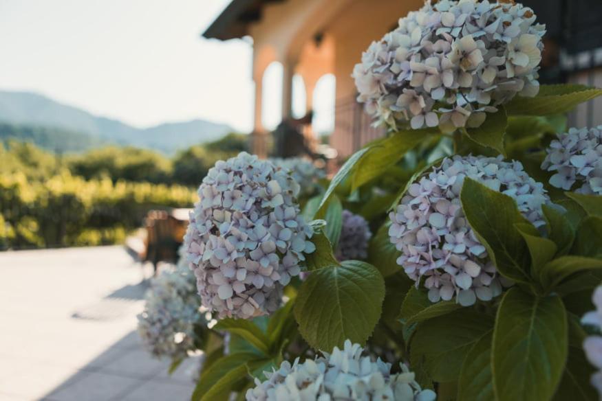 Il Frescale Country House Tramonti Exterior foto